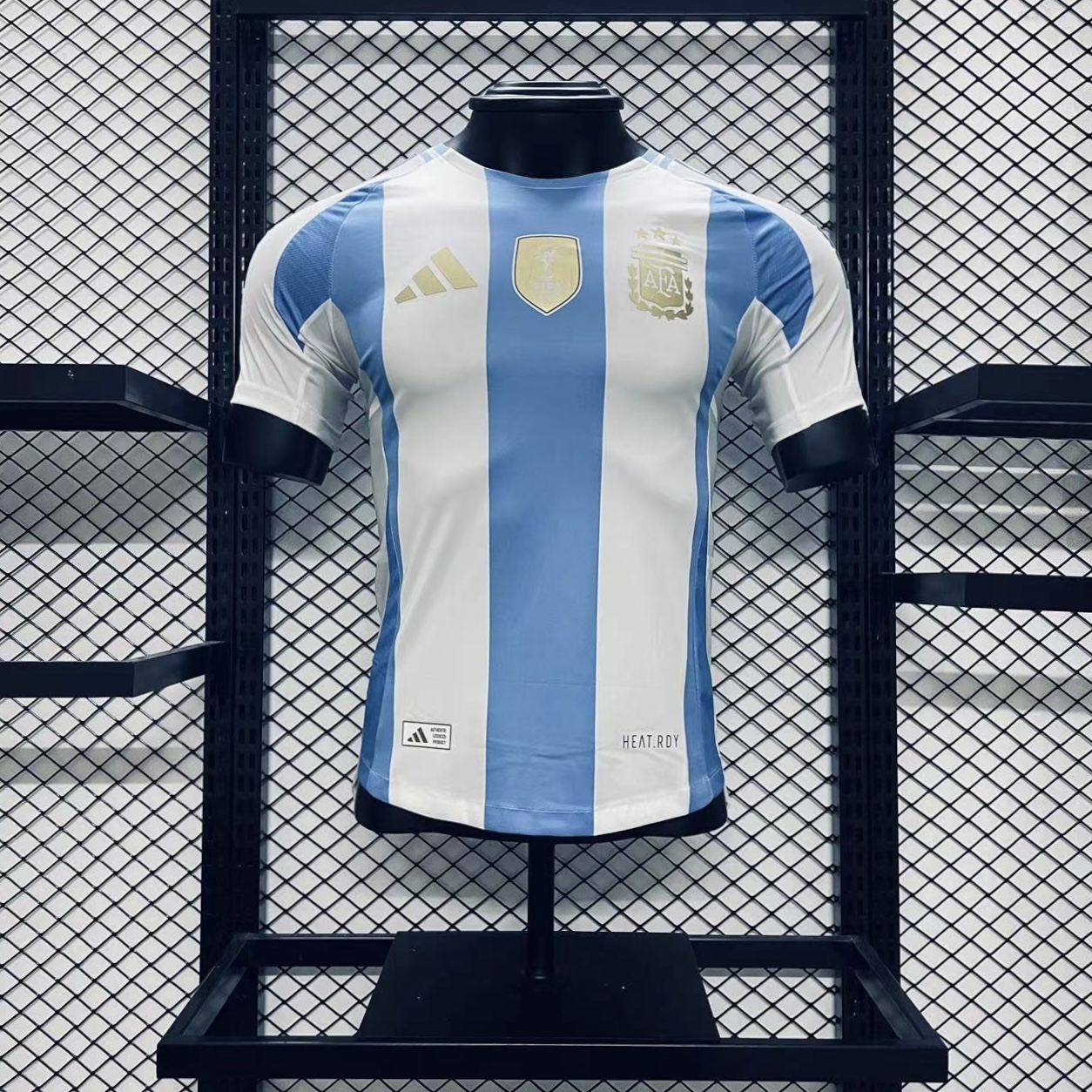 Player Version Argentina 24/25 Home
